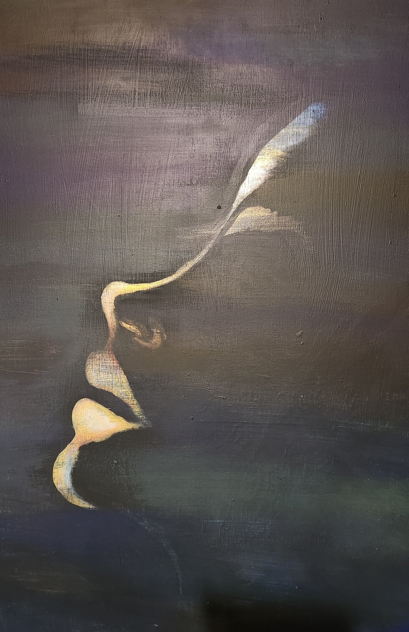 Elise Arts - Artist Portrait